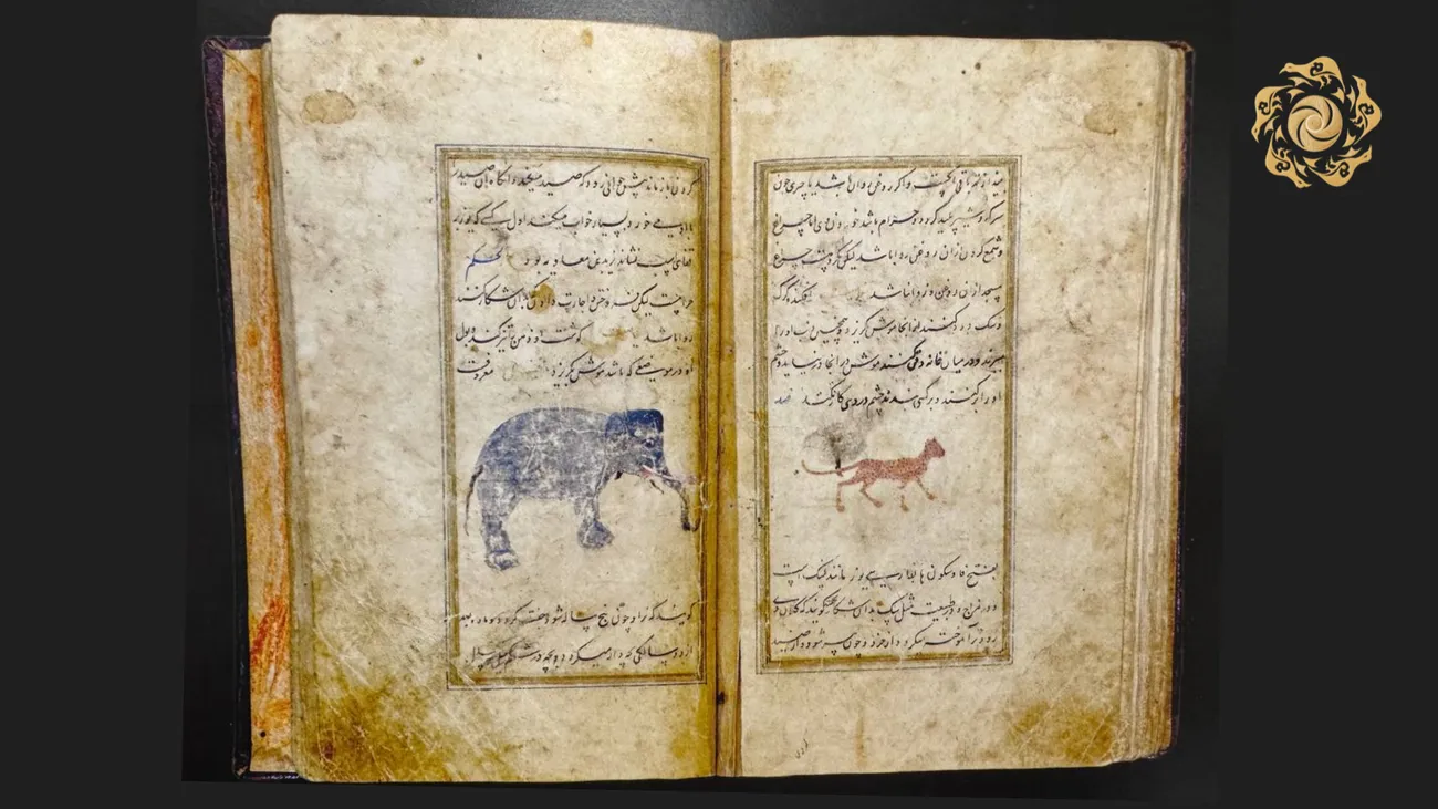 Gippologiya, "Boznoma", "Shikornoma"... Gap nima haqida?